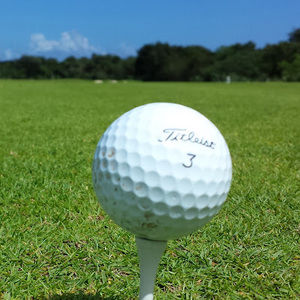 Meet your Posher, Fei